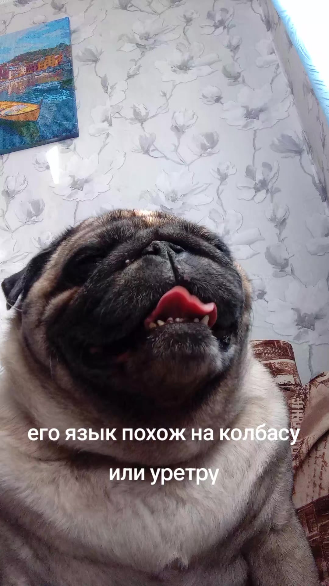 @tg: SamMops76