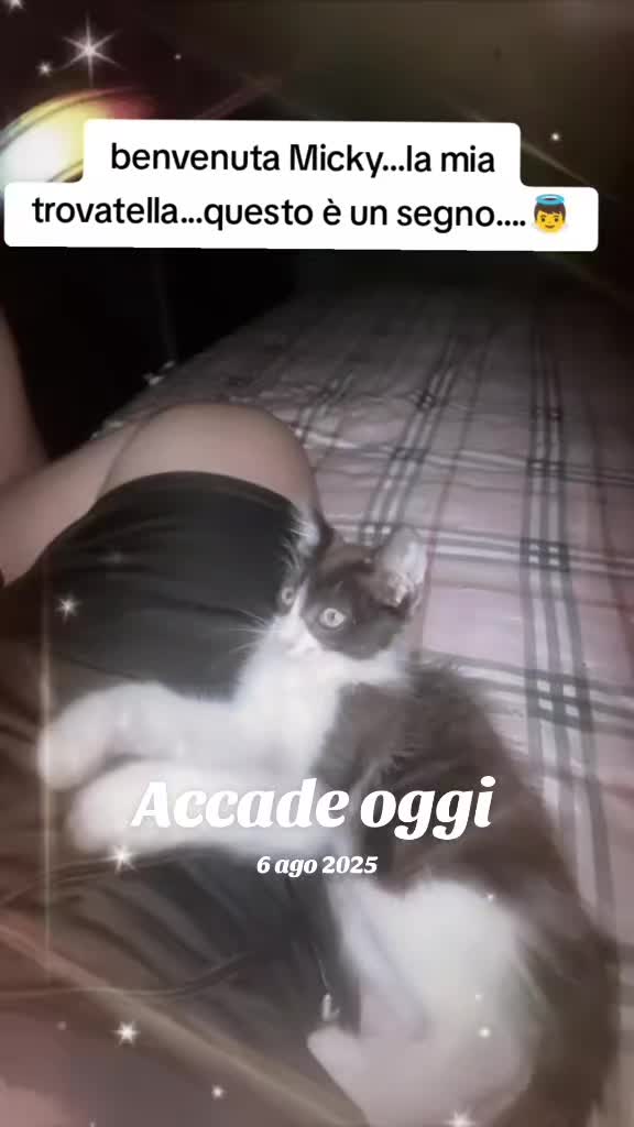 @𝔈𝔩𝔦𝔰𝔞𝔟𝔢𝔱𝔱𝔞💙💜