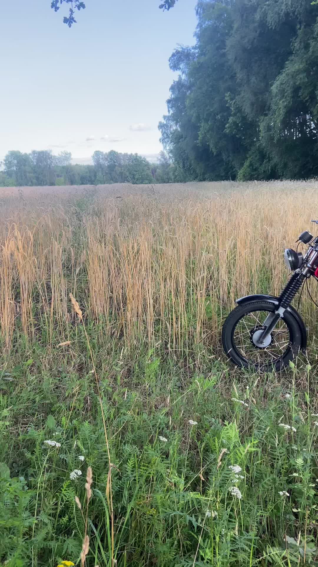 @till_s51enduro0