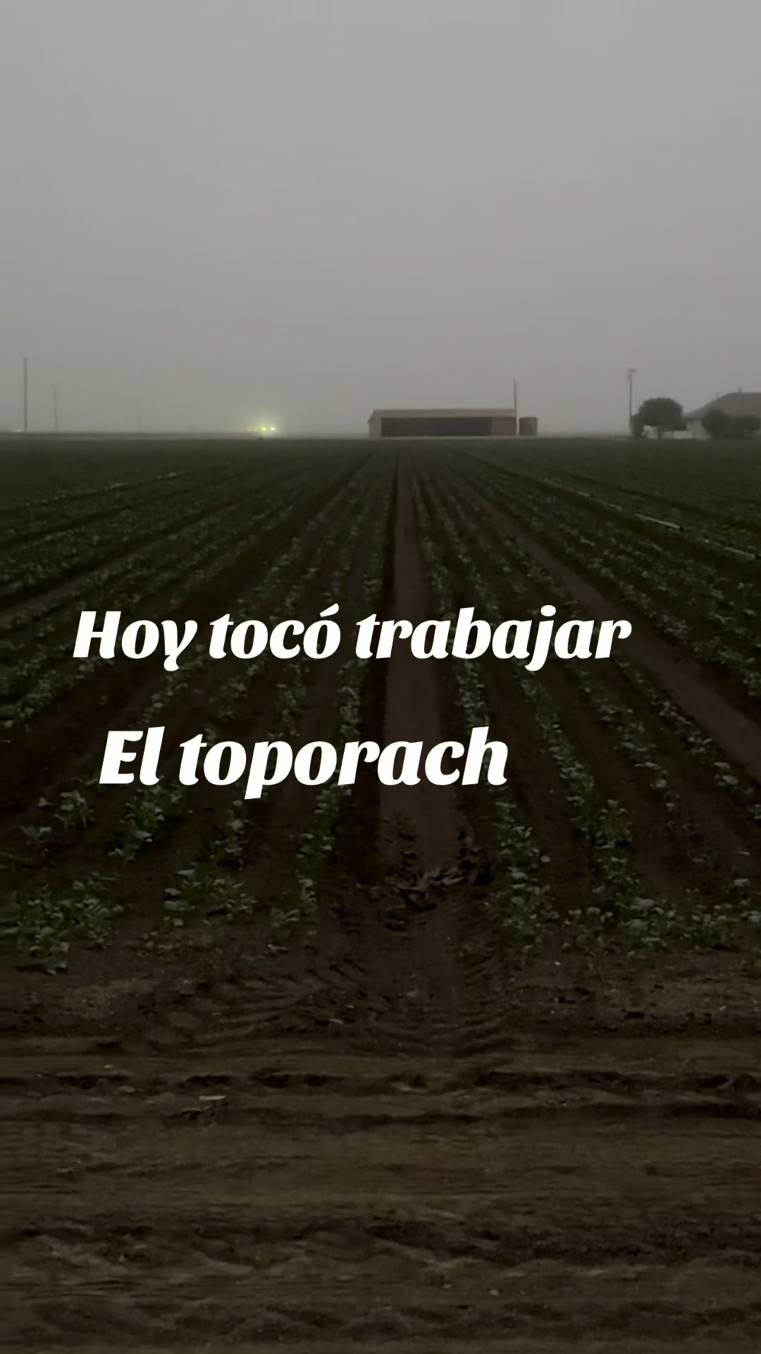 @Chela A367