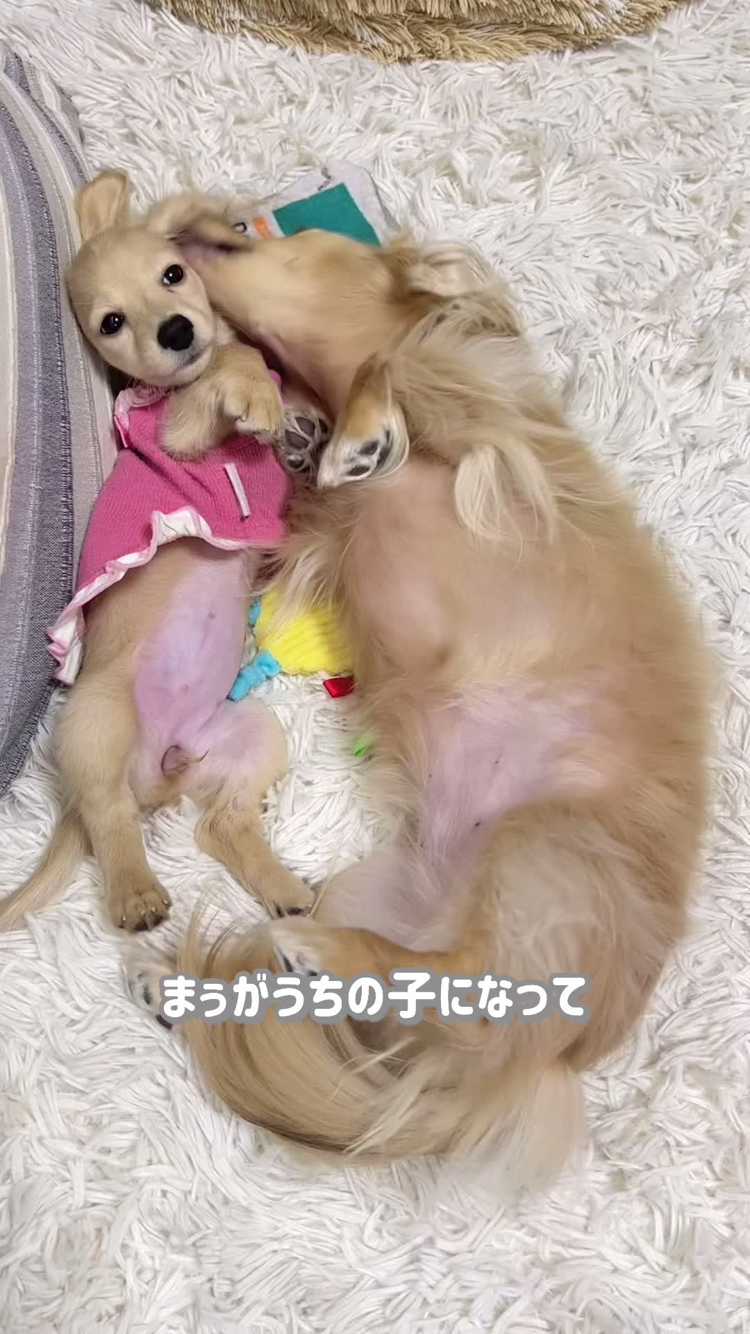 @🎀もあらなまぅ🎀