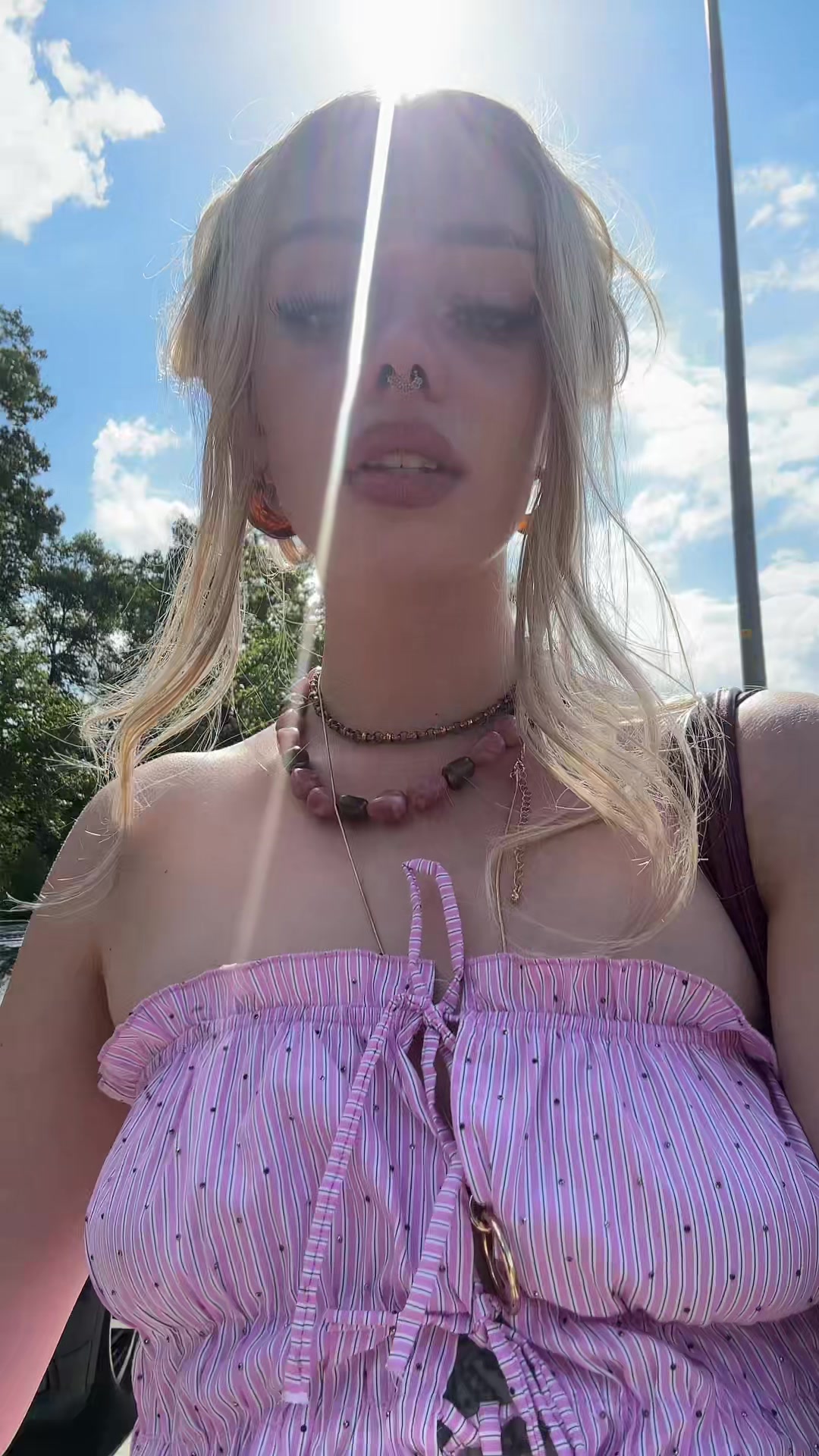 @paulii 🌻
