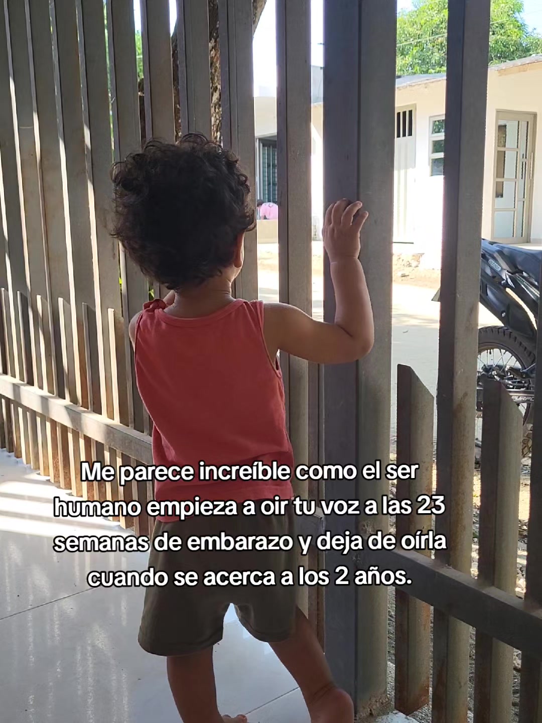 @Cerly Ortiz