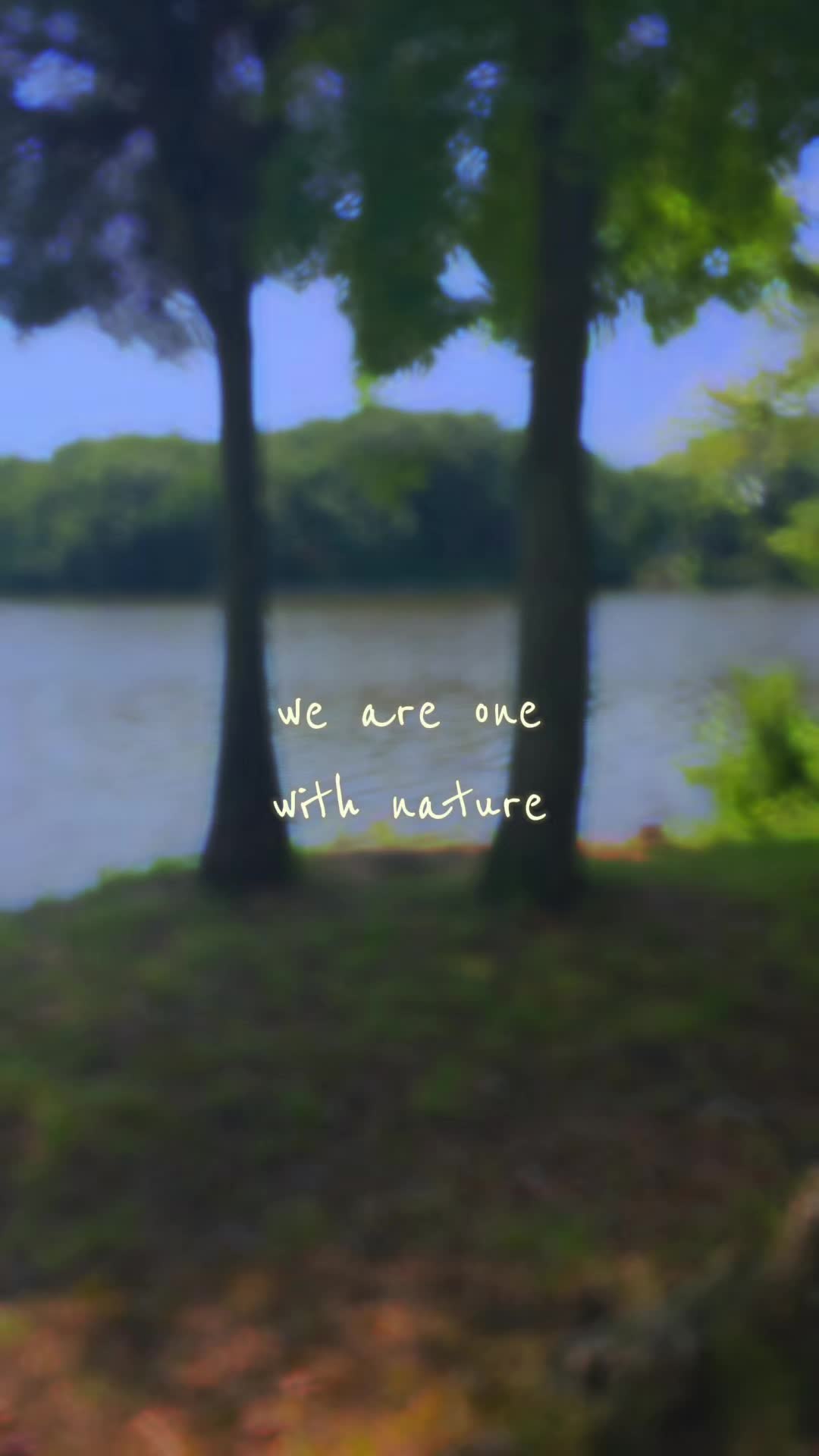 @will0wtreez