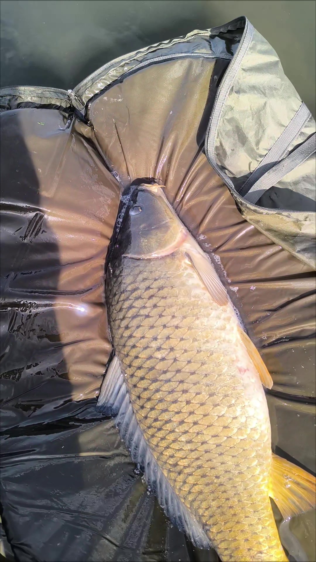 @Jocarpfishing