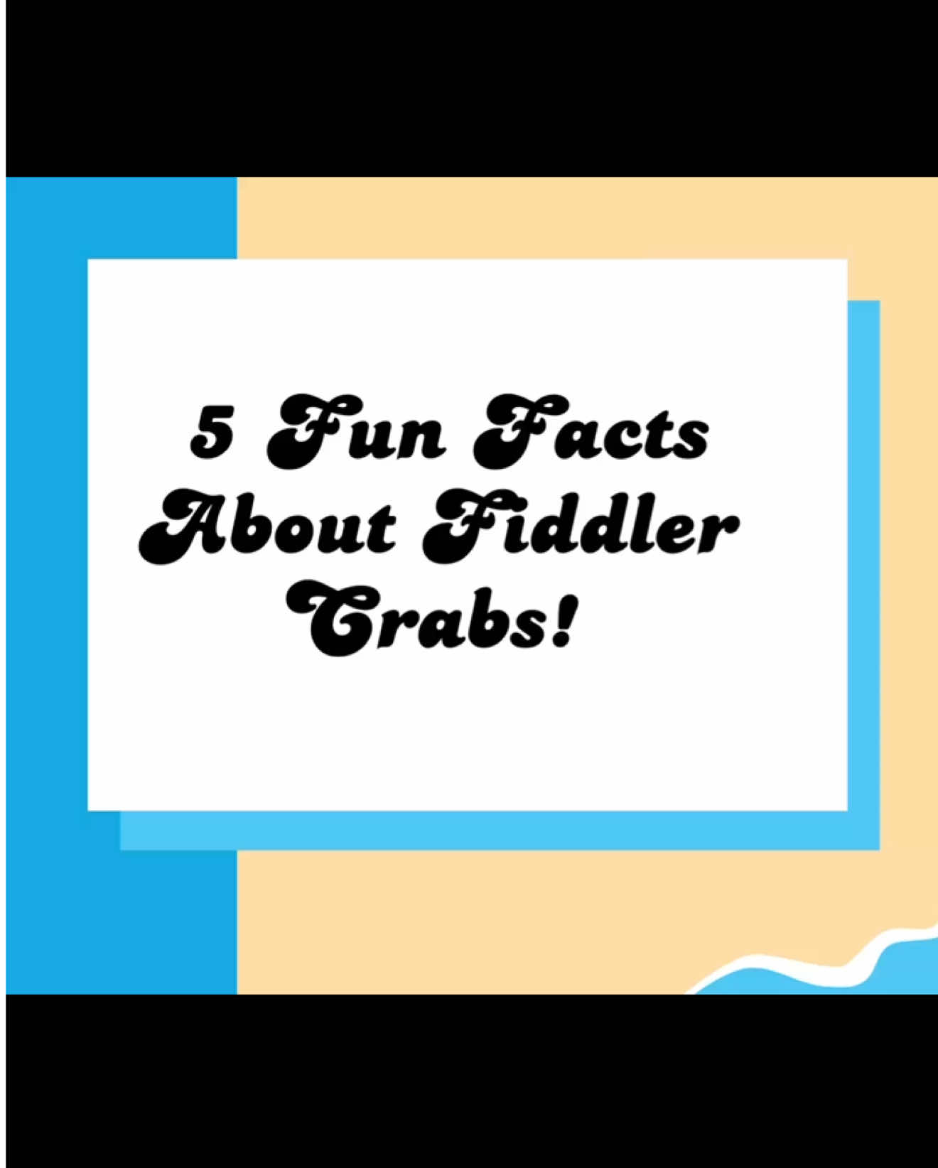@Your Ocean BFF & Fun Facts🪼