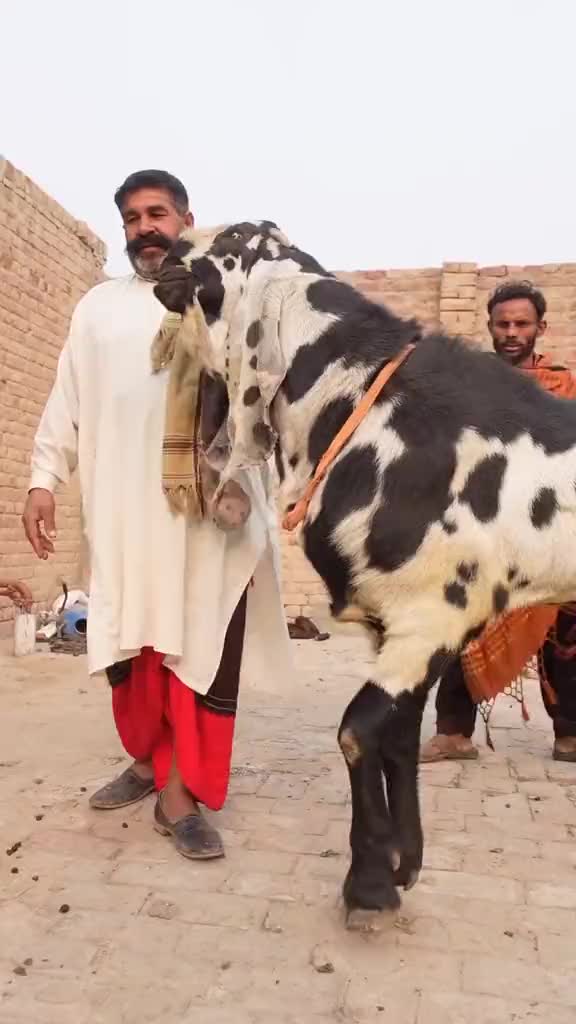@Sufyan Gujjar