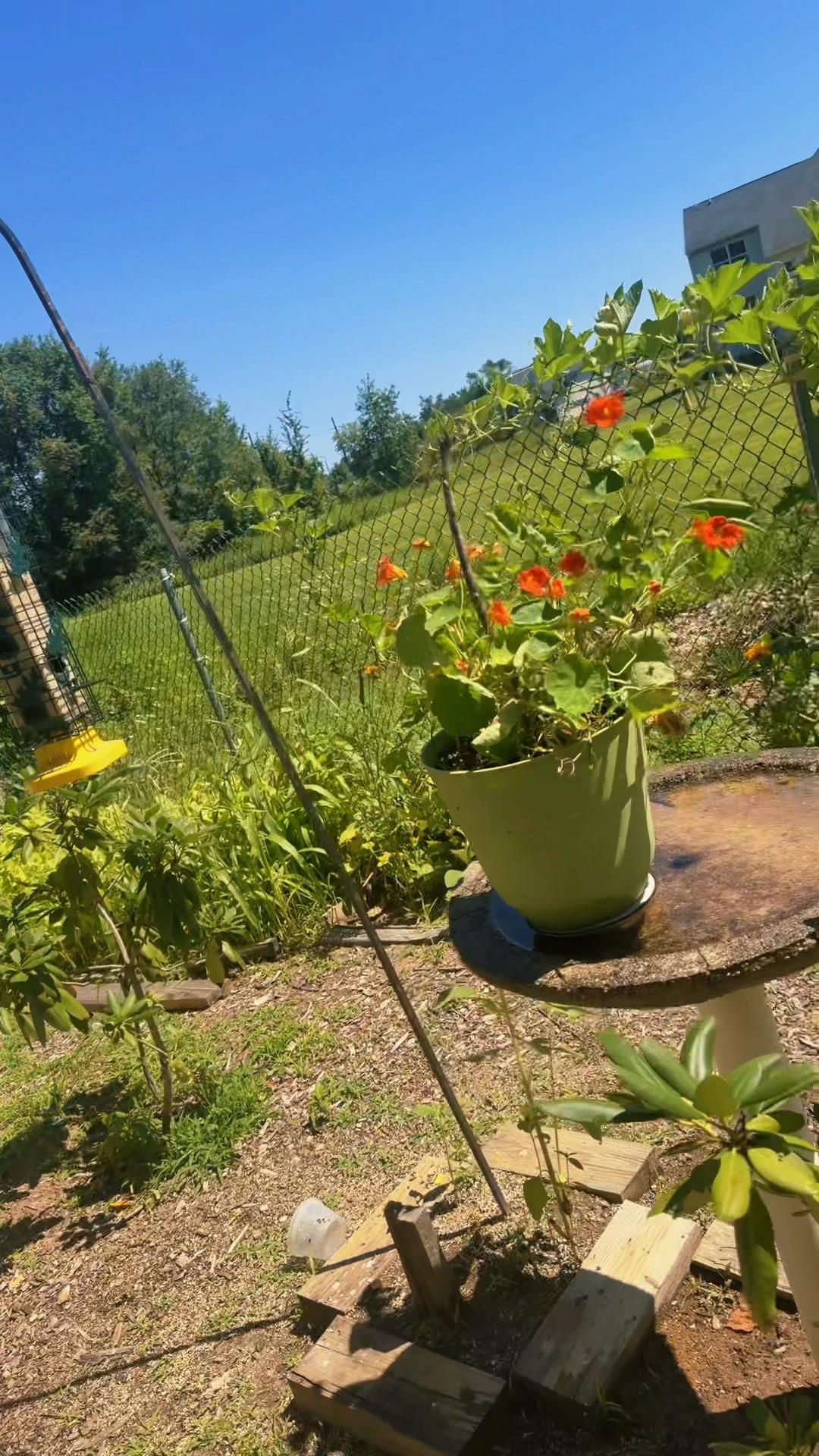 @regrownature