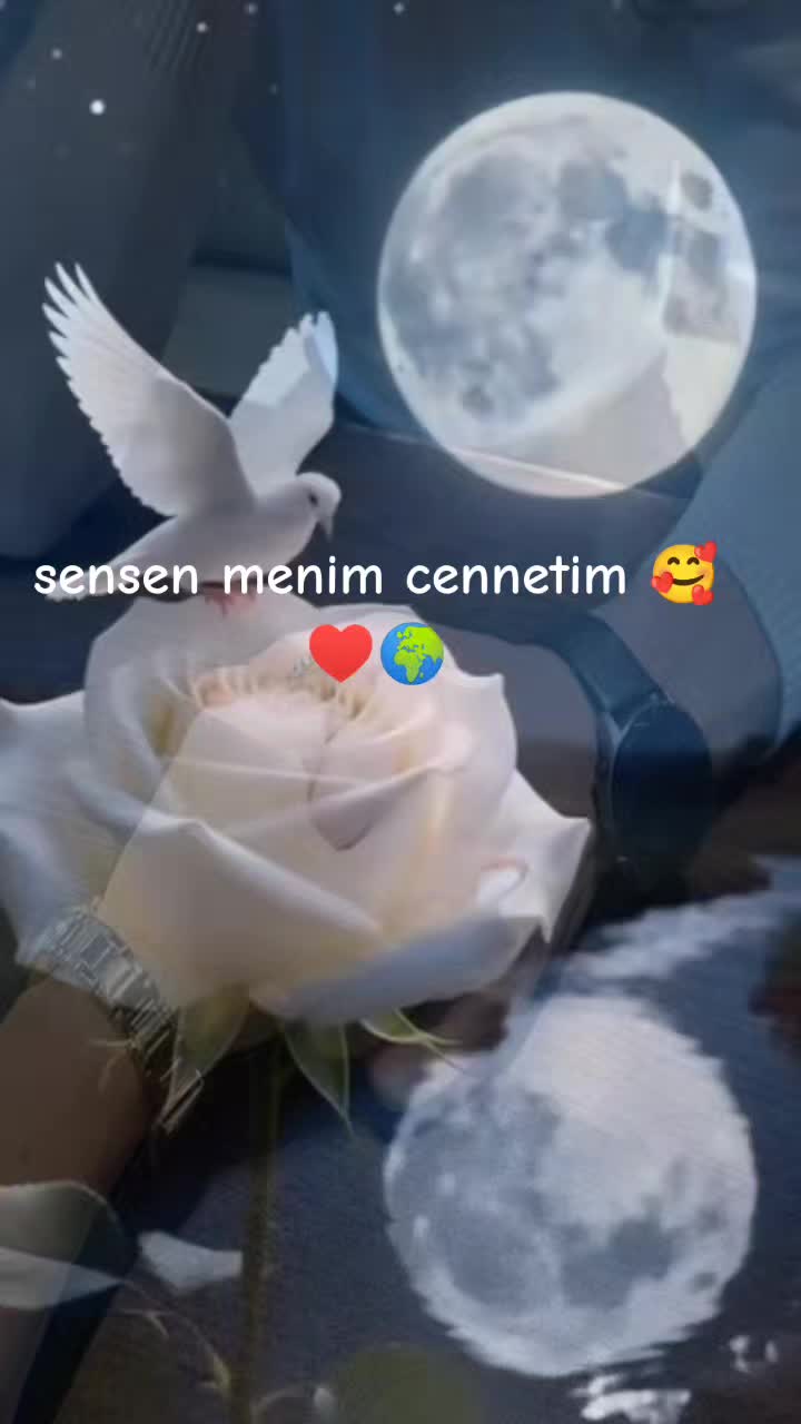 @GüLüM 🌹🌹🌹