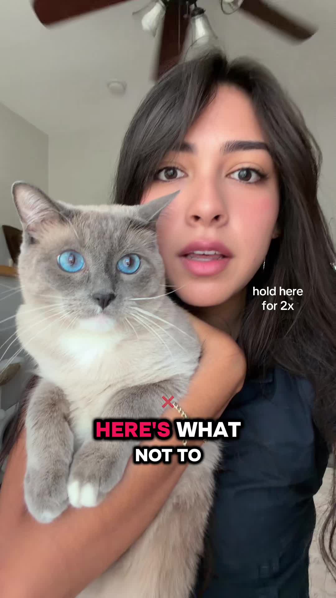 @Julissa Briseño