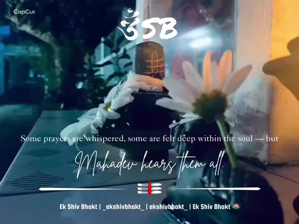 @Ek Shiv Bhakt 🪷