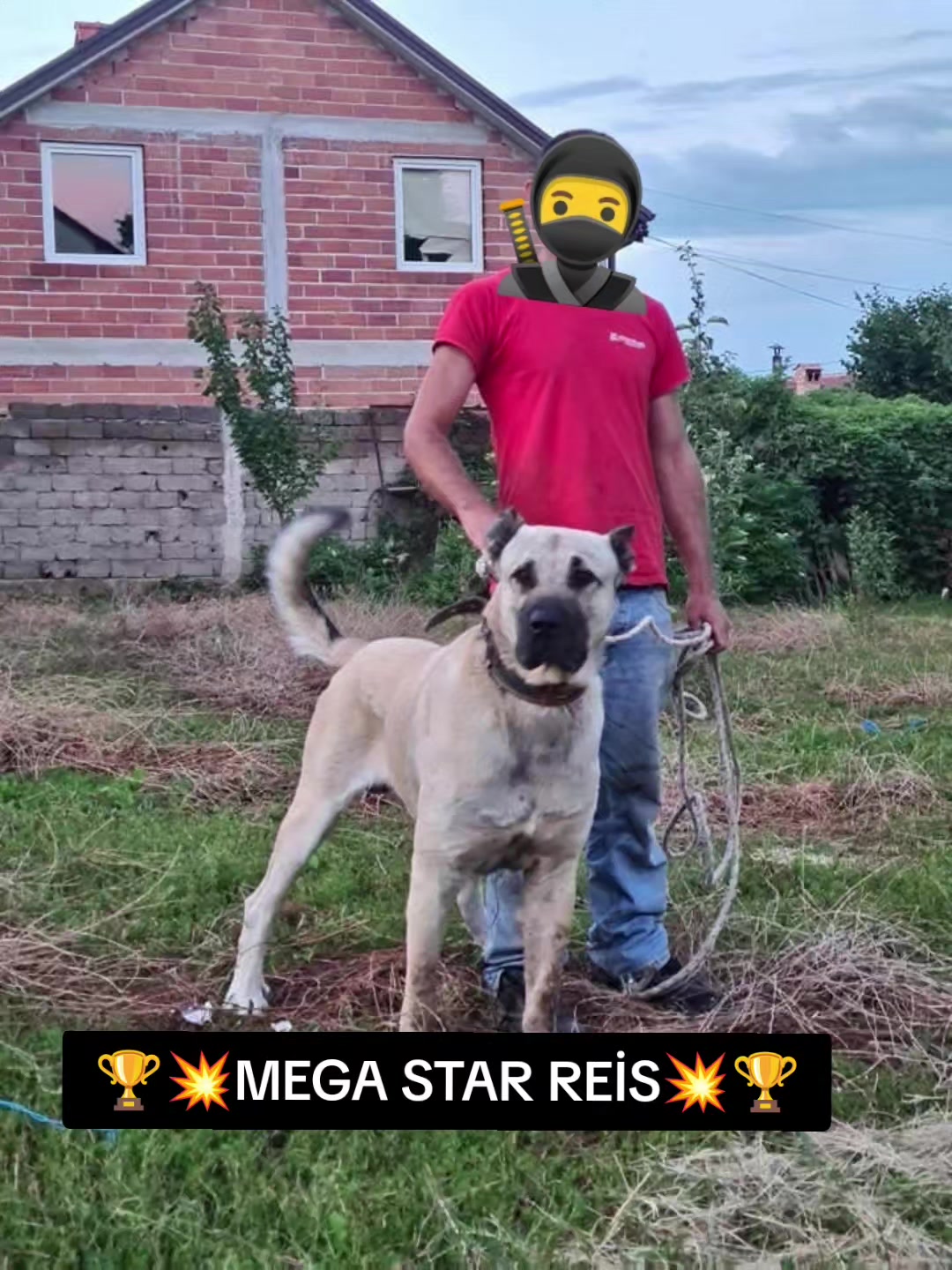 @🏆 TRKANGAL23 🏆