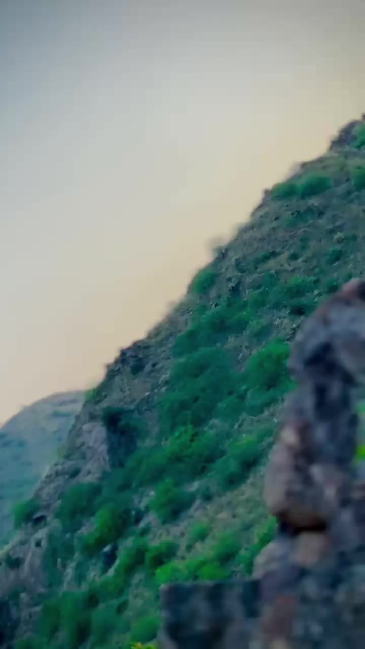 @😘 JANI 🇶🇦