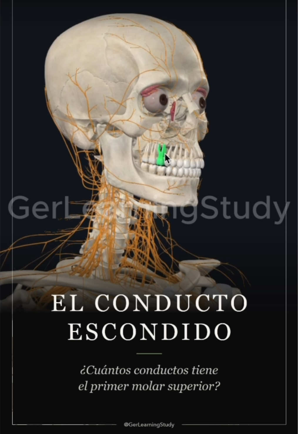 @GerLearningStudy