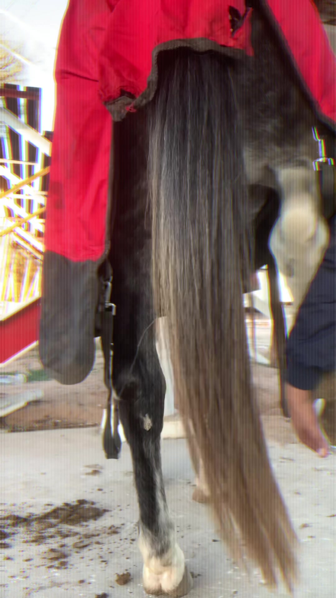 @Farriershoeshorsesnicotina🏇🔨