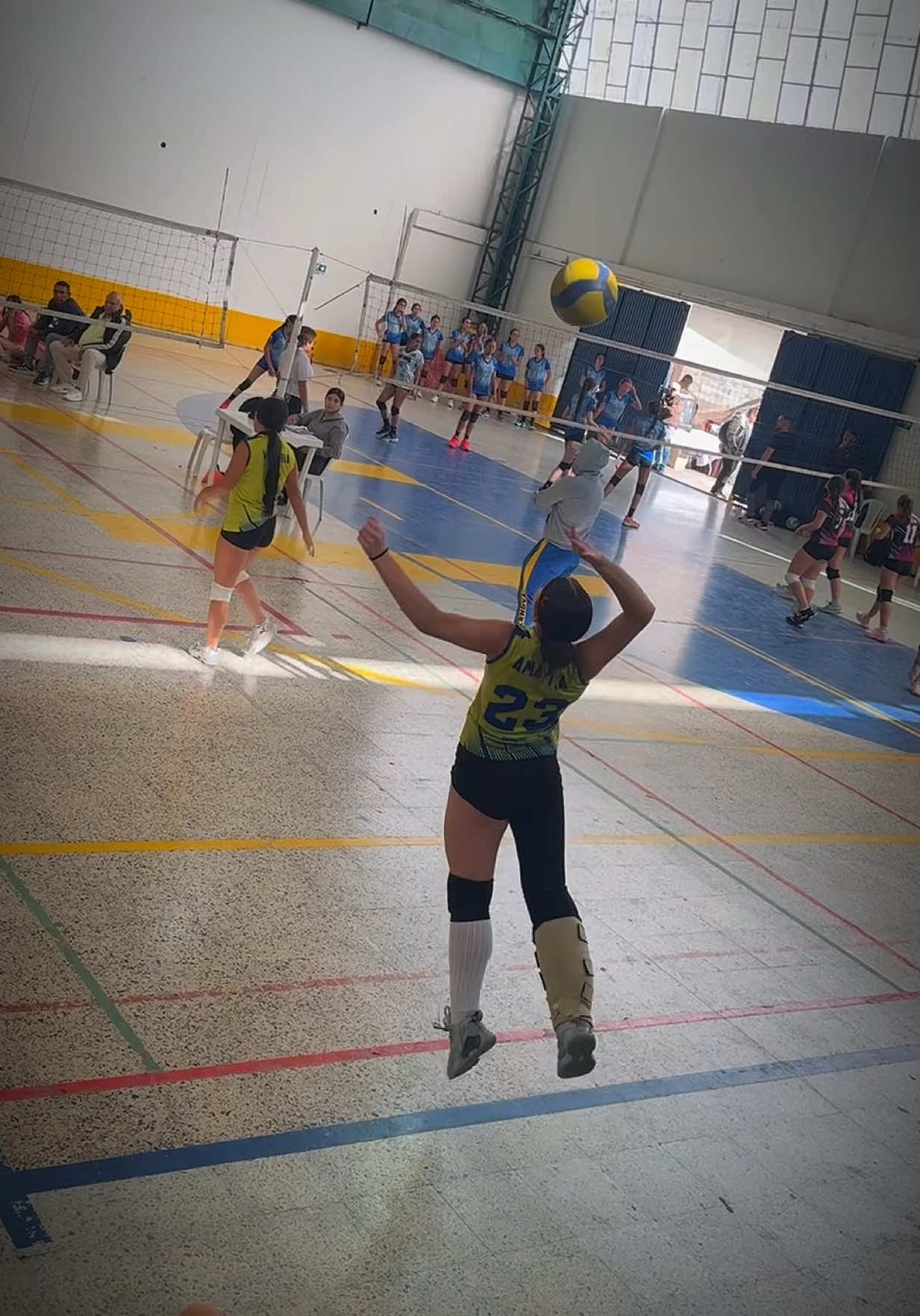 @Isabella Amaya Volley 23