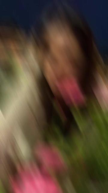 @Darya
