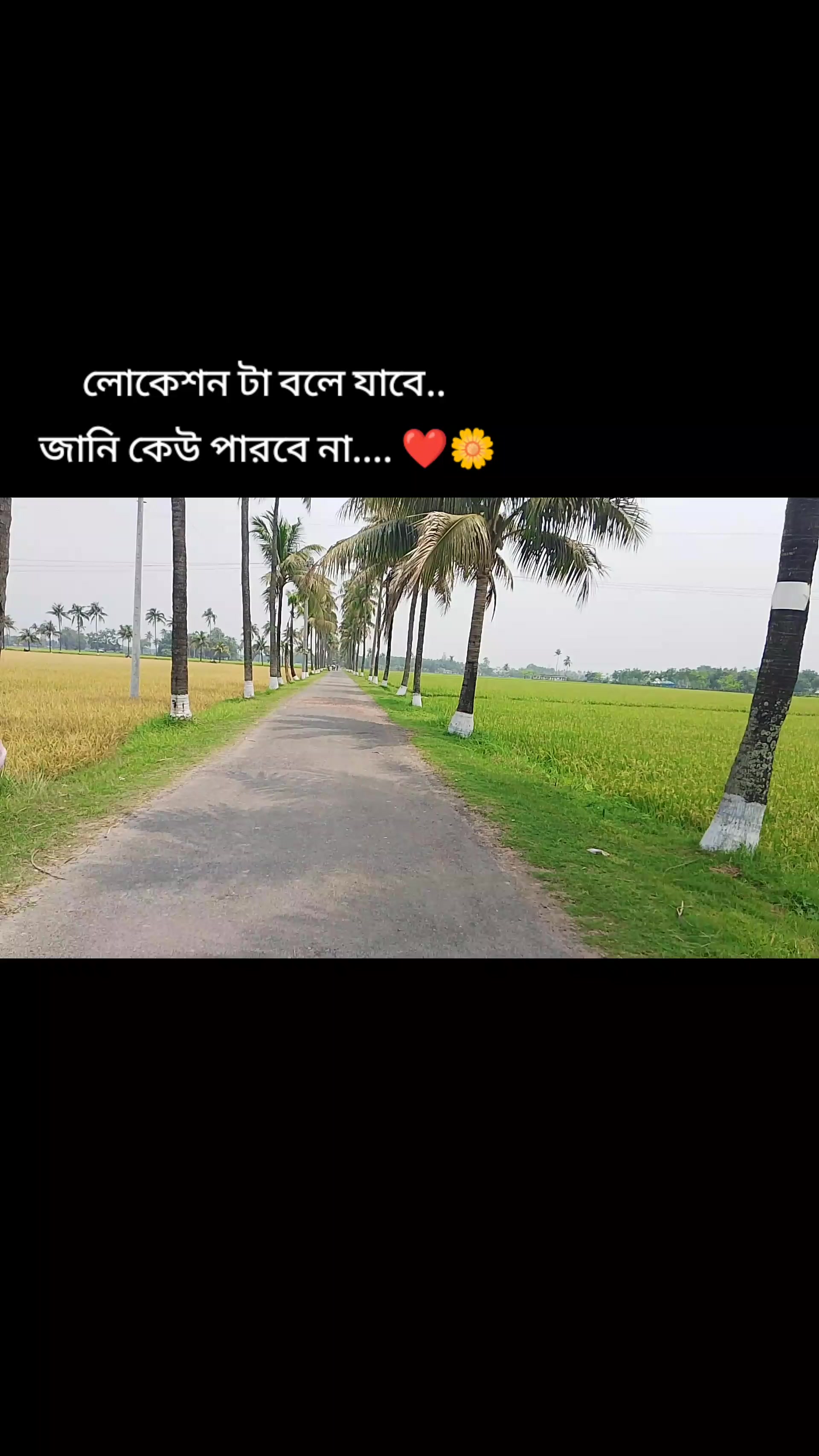 @Sumaya islam