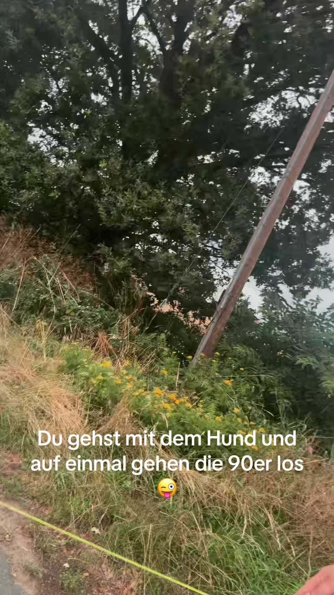 @its_me_jens