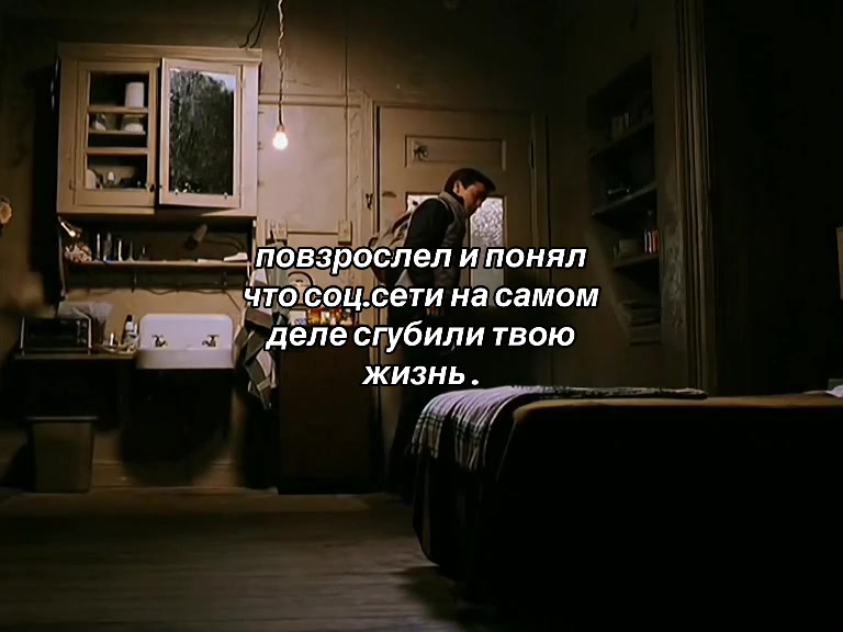 @bubufacts