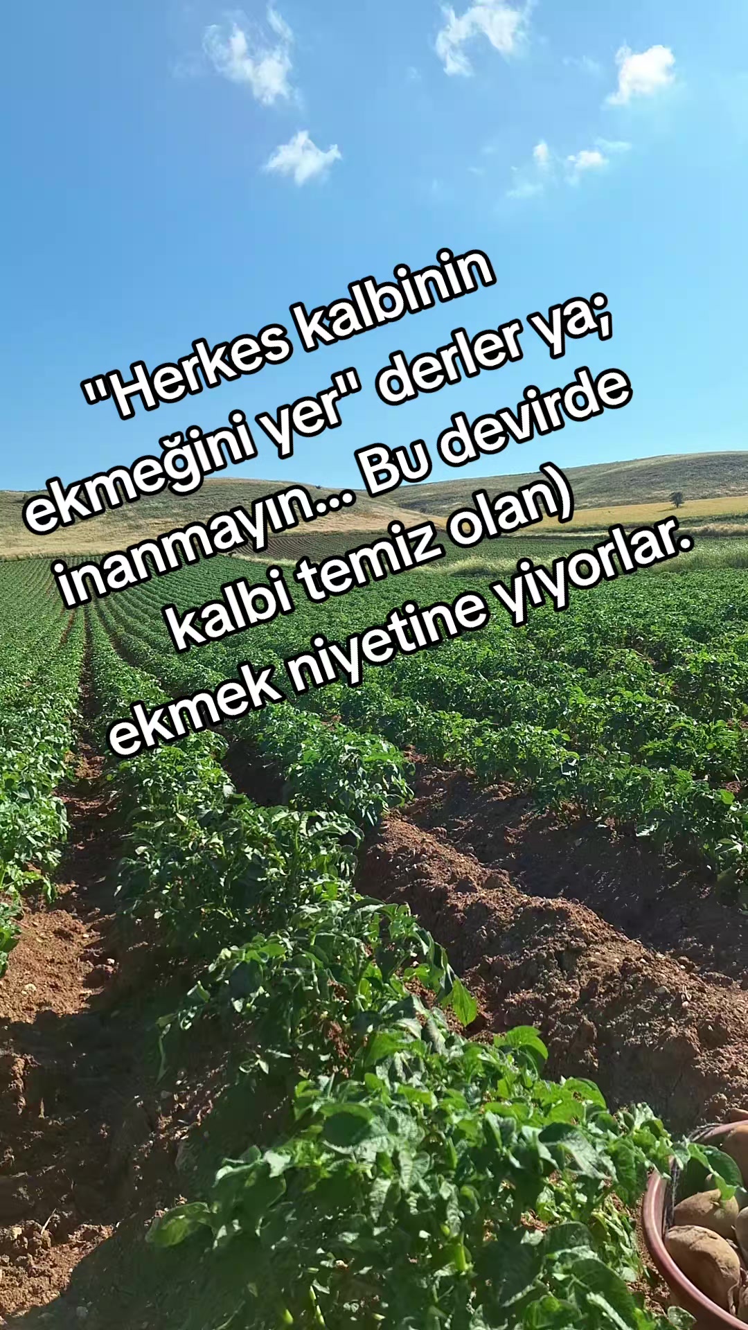 @Bet&uuml;l Halil sağ