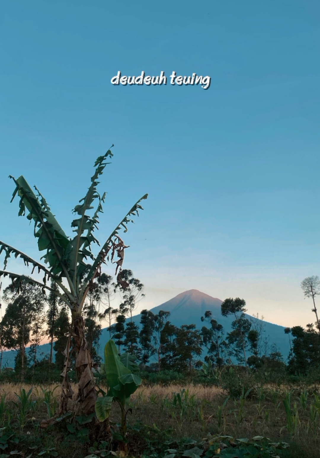 @𝗣𝗲𝘀𝗼𝗻𝗮 𝗗𝗲𝘀𝗮 🍃