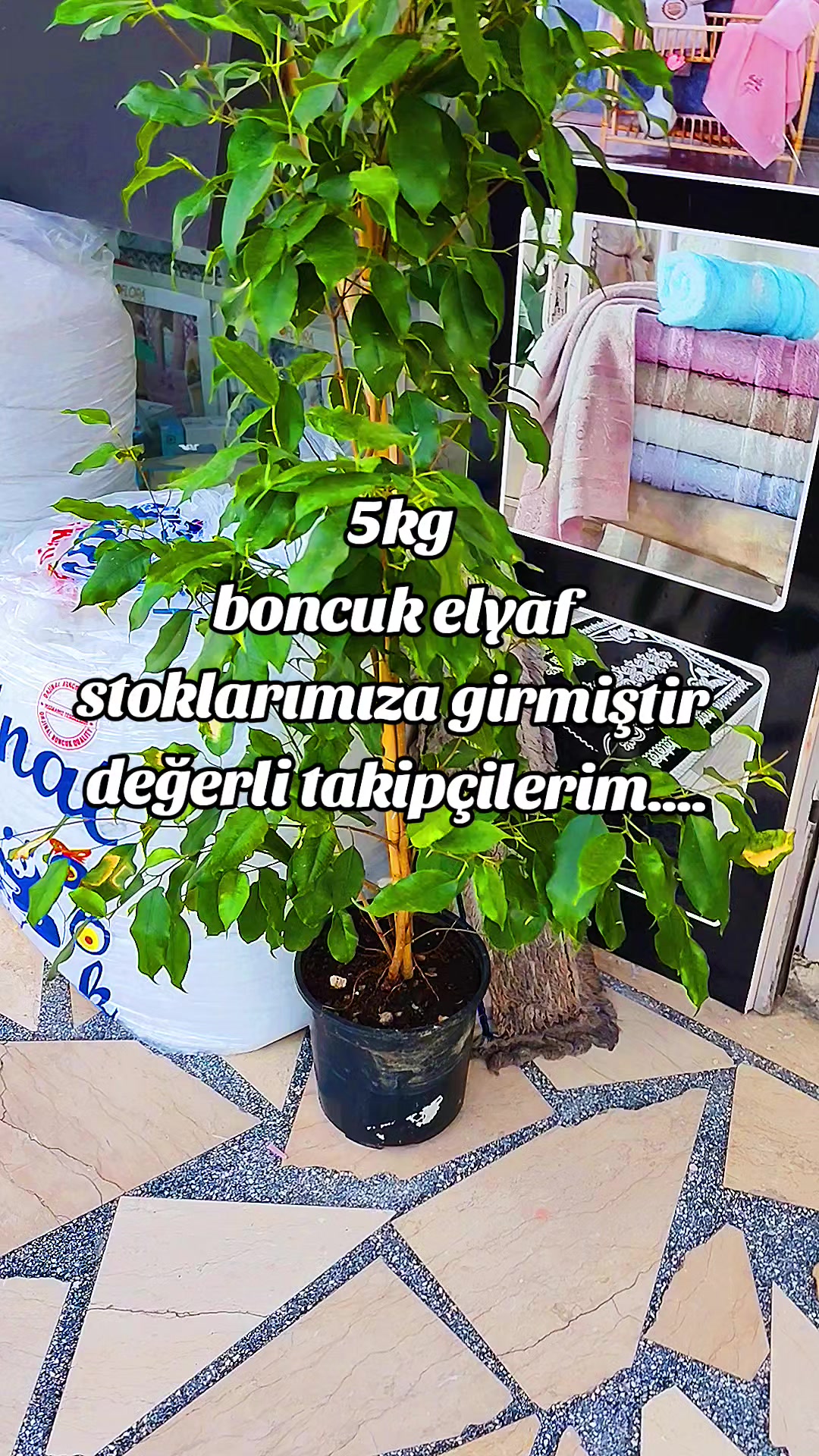 @ZEM HALI,PERDE VE ÇEYİZCİLİK2
