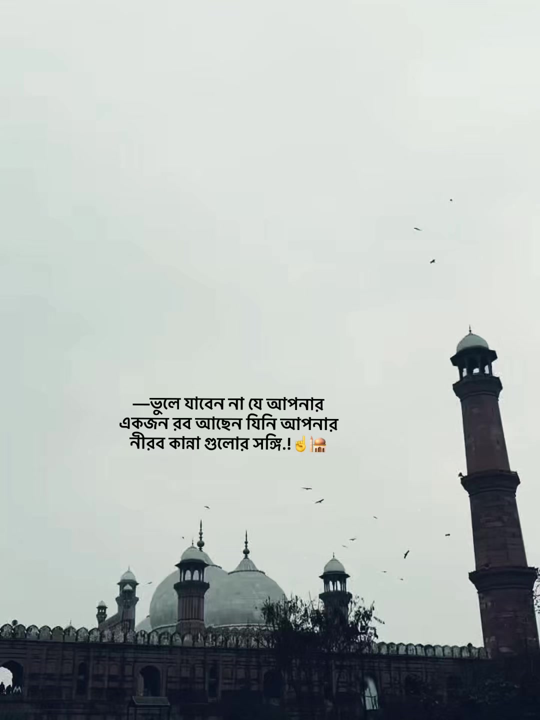 @⏳𝐒𝐡𝐚𝐝𝐨𝐰𝐗𝐞𝐧_ 🚩