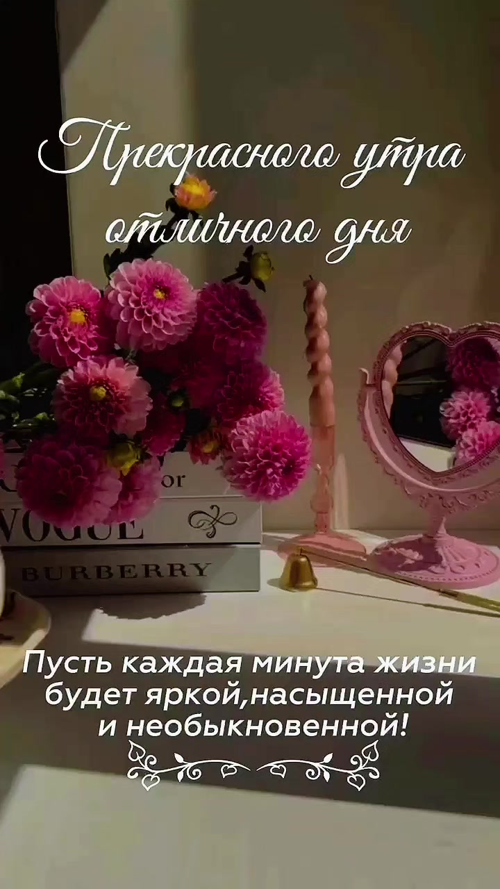 @꧁༺ 𝓞𝓵𝓰𝓪_𝓿.𝓭 ༻꧂