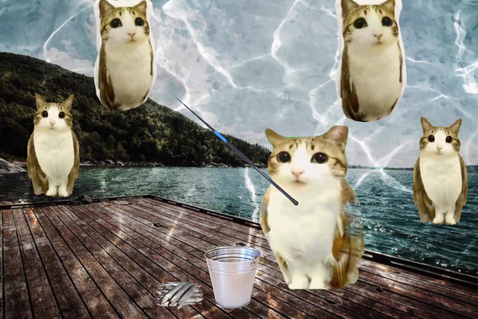 @meowl