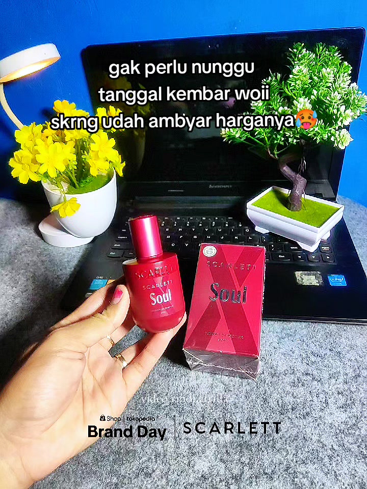 @Spal Spil by Rind✨