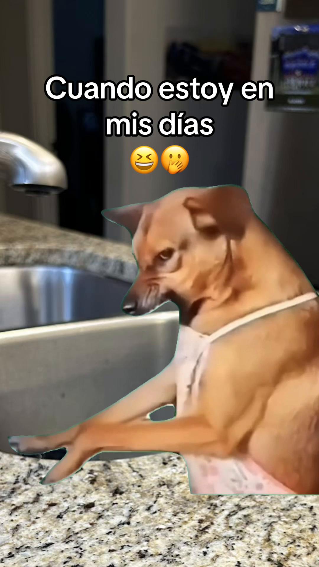 @Erika🪻