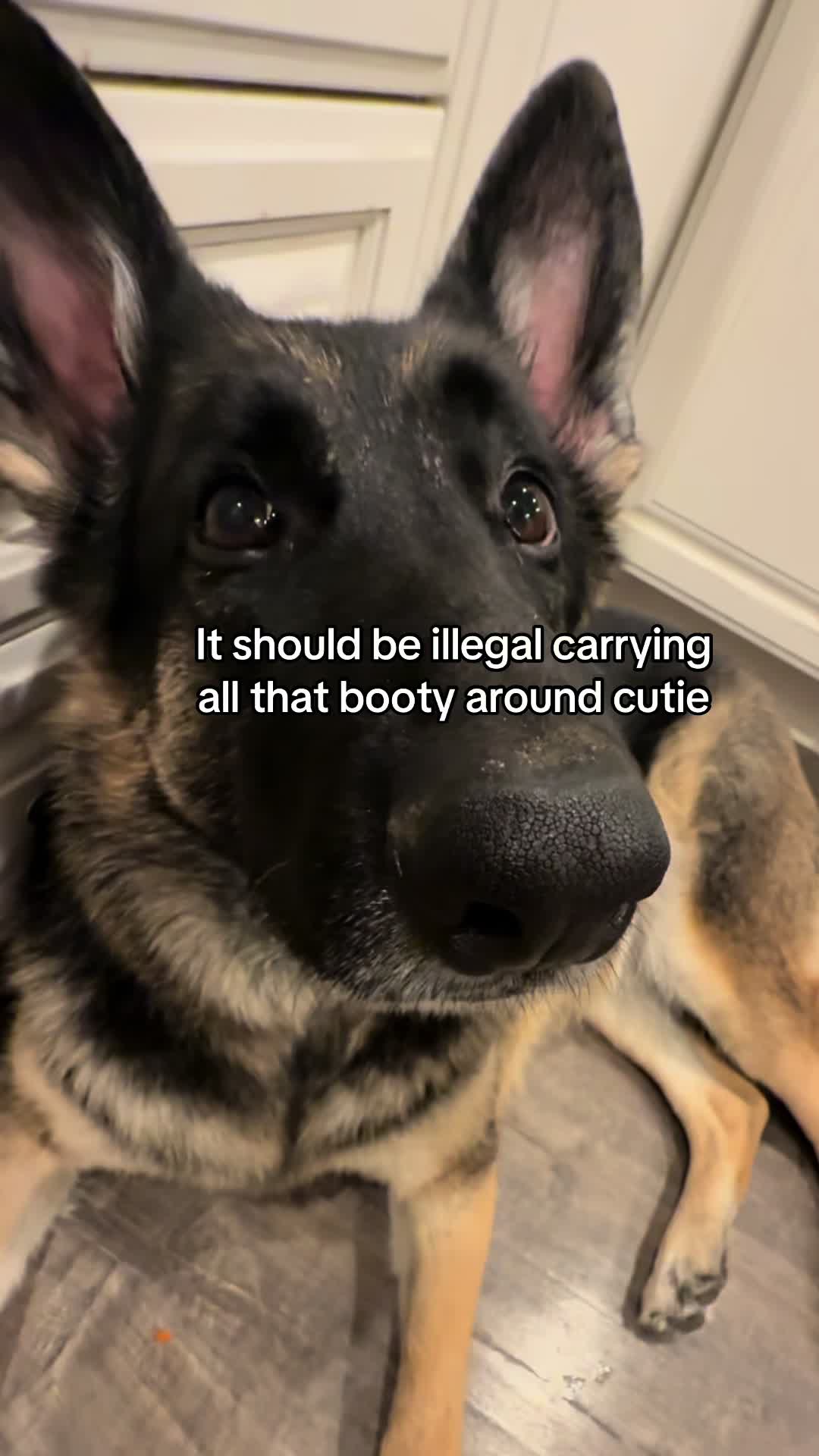 @Bhris