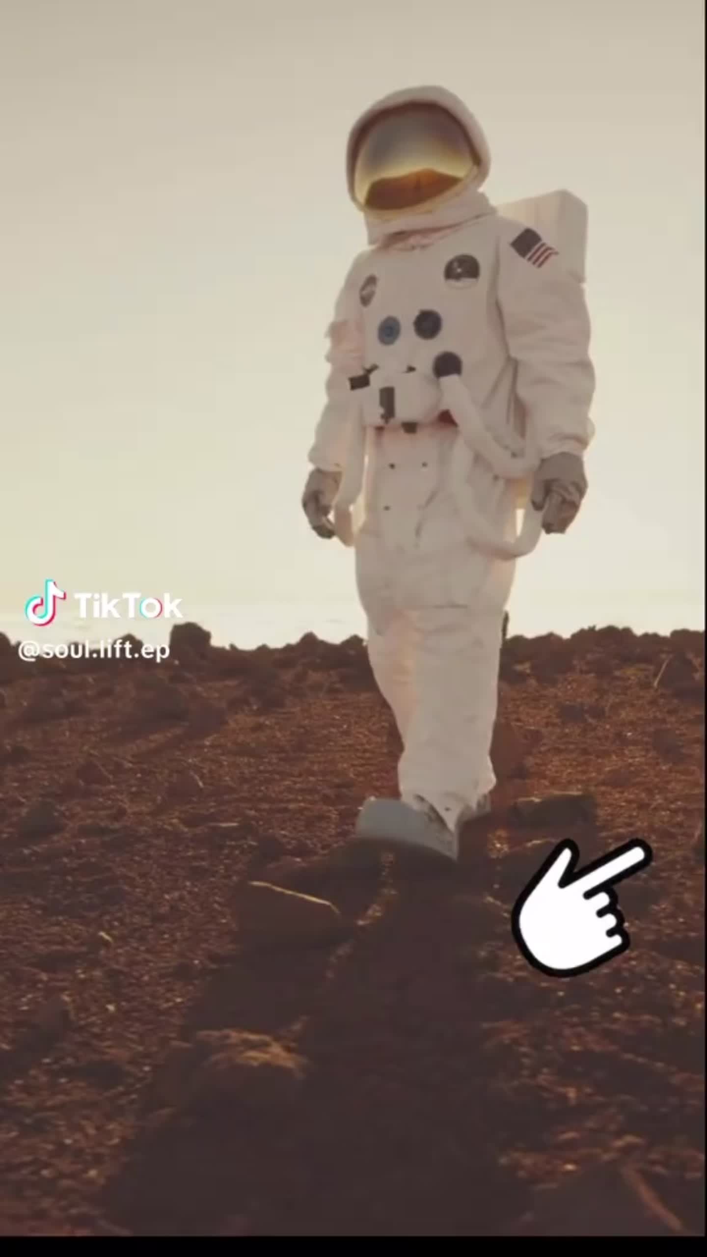 @sheshenique❌