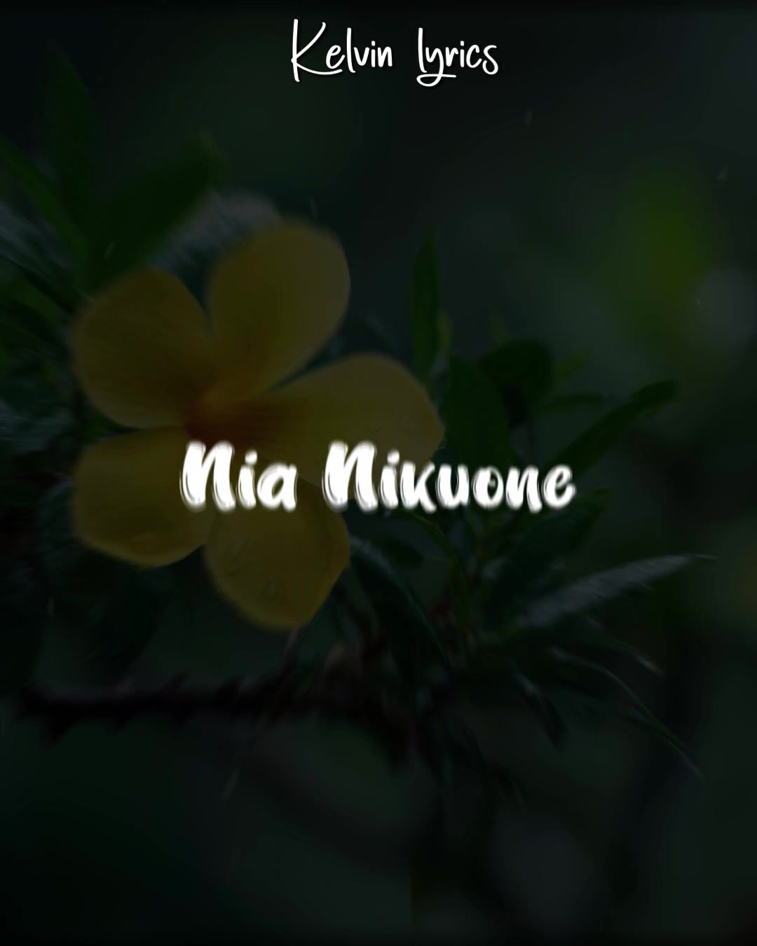 @𝐊𝐈𝐍𝐆 𝐎𝐅 𝐋𝐘𝐑𝐈𝐂𝐒