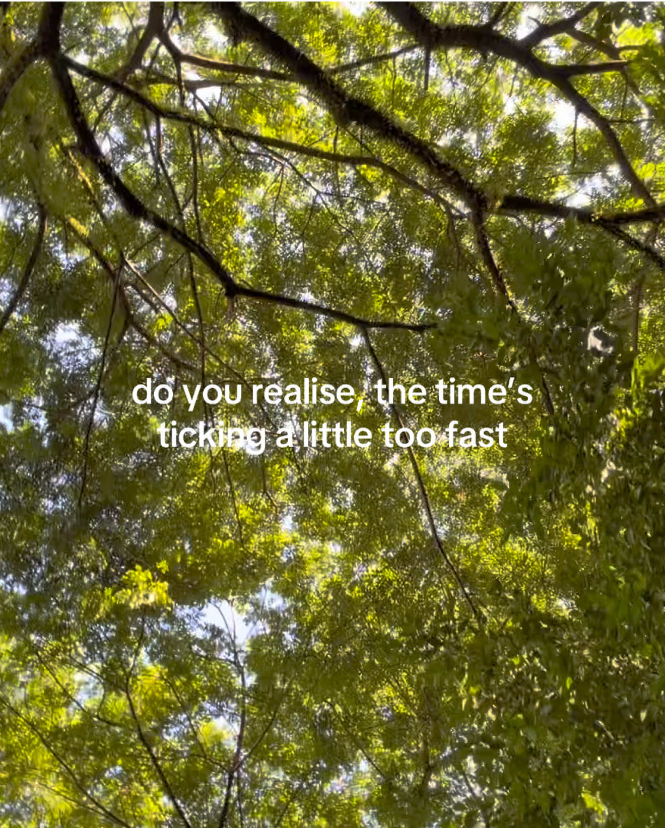 @OOPSIE DAISIES 🍵✨🧘🏼♀️🪩