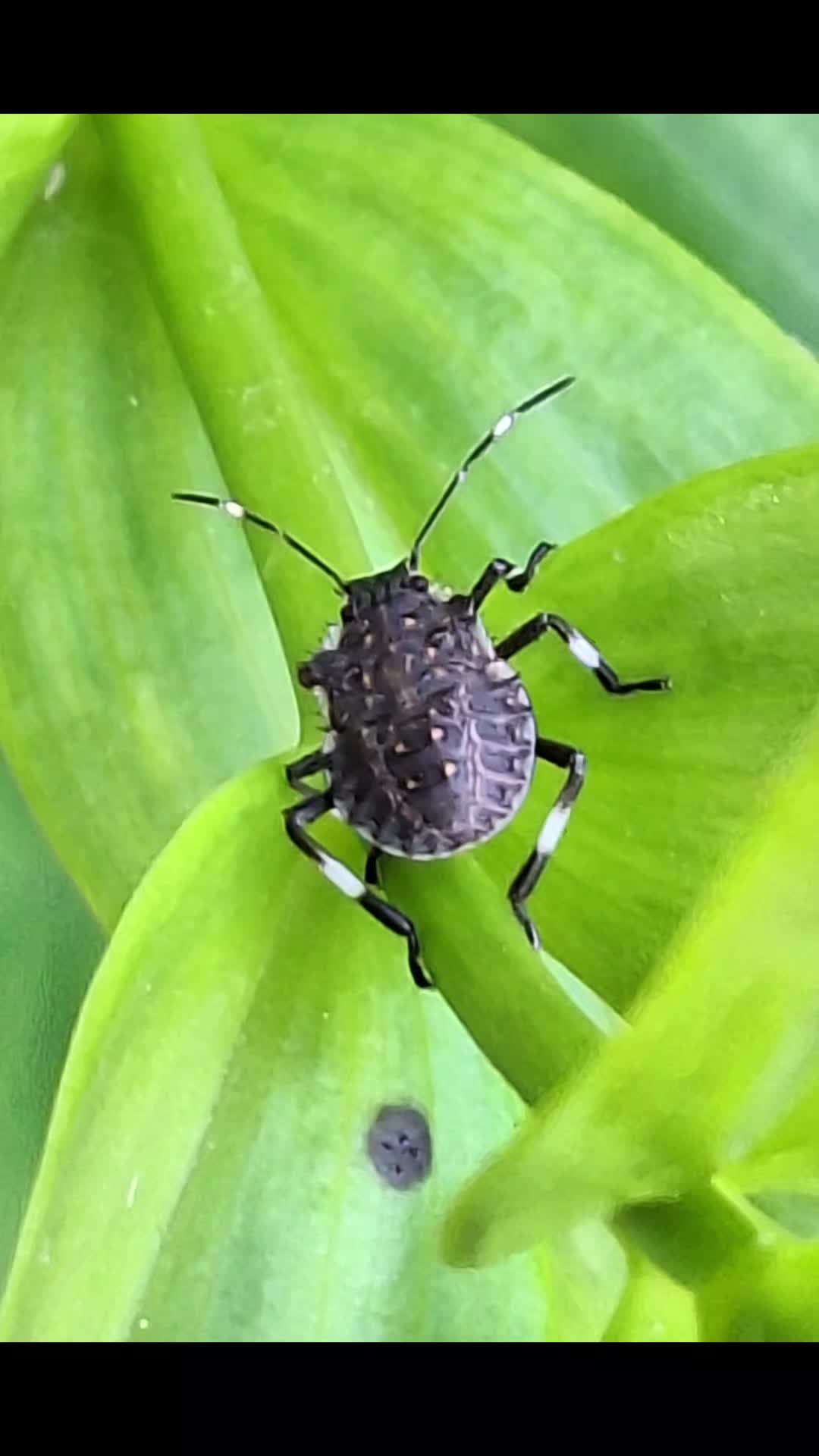 @Natur und Garten
