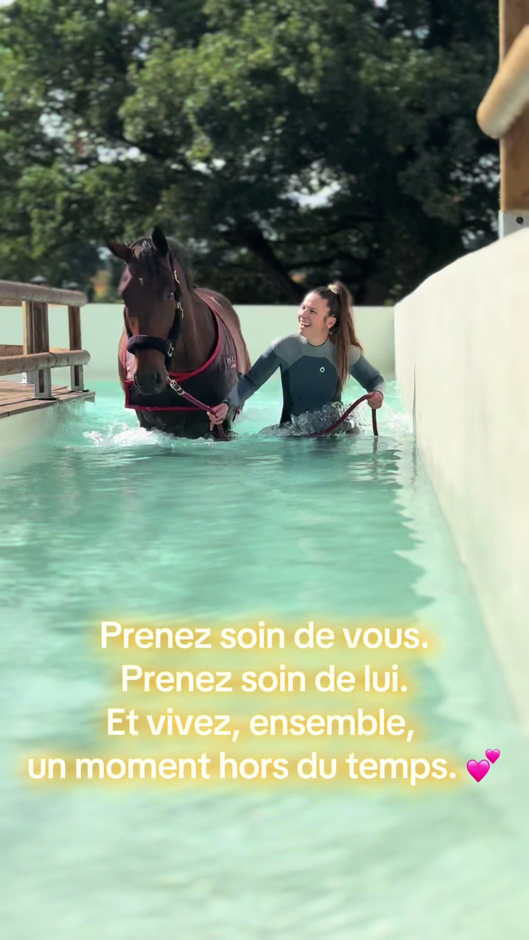 @Centre BienEtre Equin & Canin