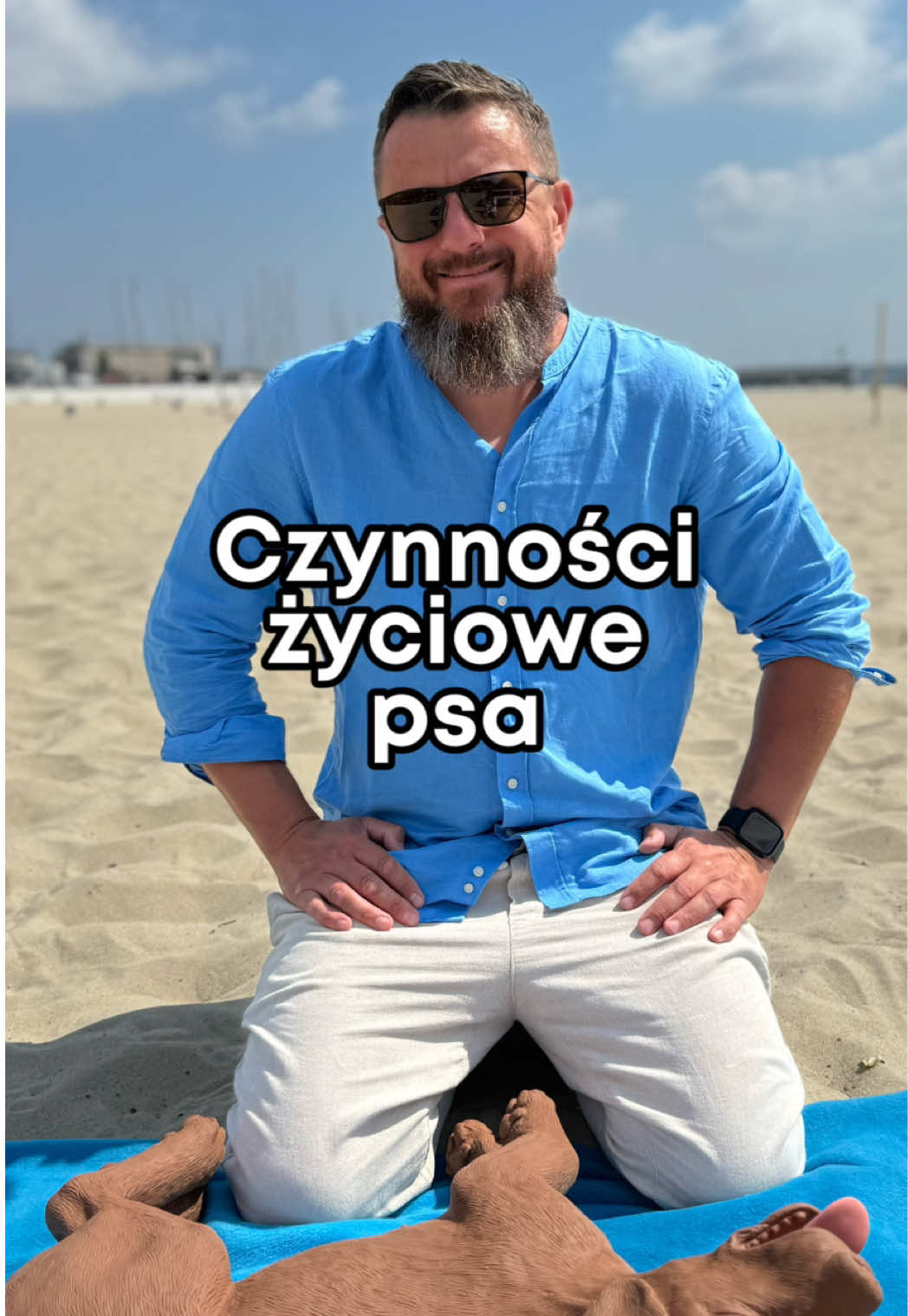 @cowdoctor_pl