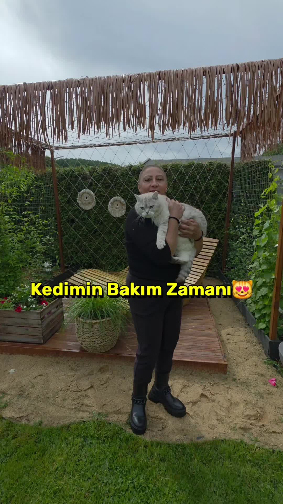 @meralworld