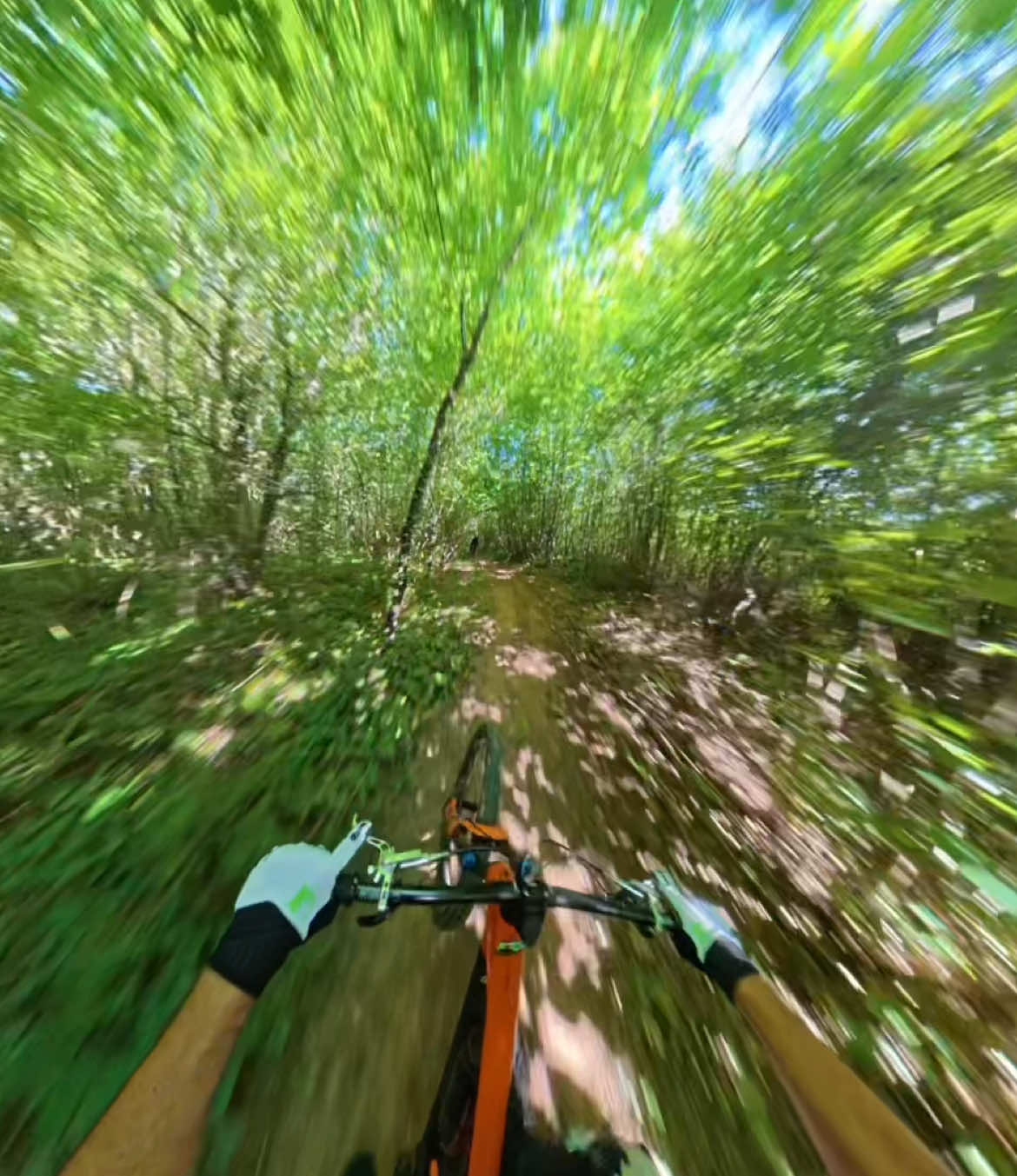 @Yalnız Pedalşör