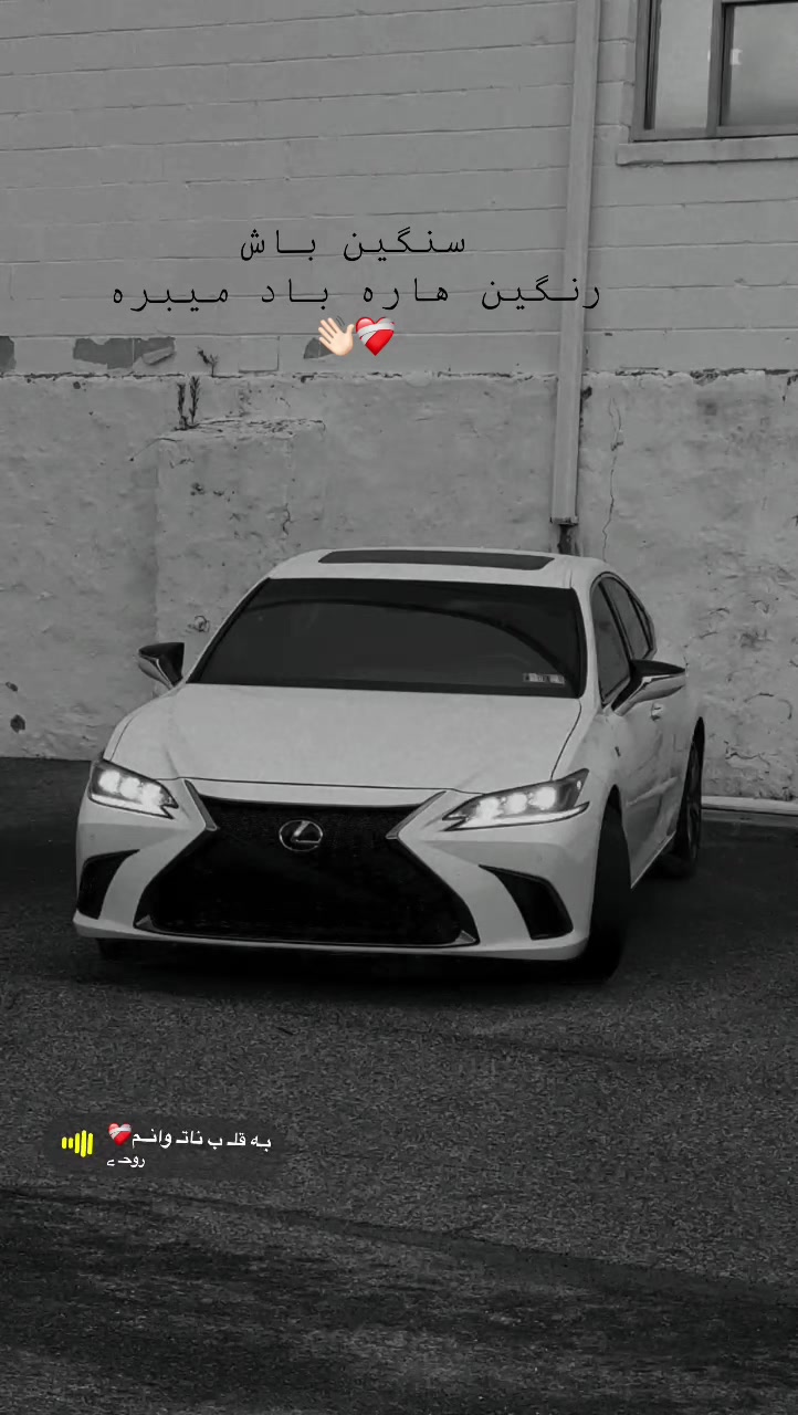 @_⋡ iʜoЯ ./‘ ️ ️ؔ