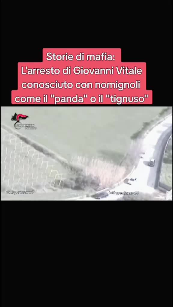 @squadra mobile