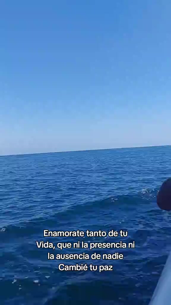 @chemoensusalsa