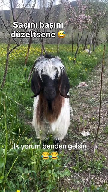 @💝💝 𝖡İ𝖹İ𝖬 𝖪𝖨𝖹 💝💝