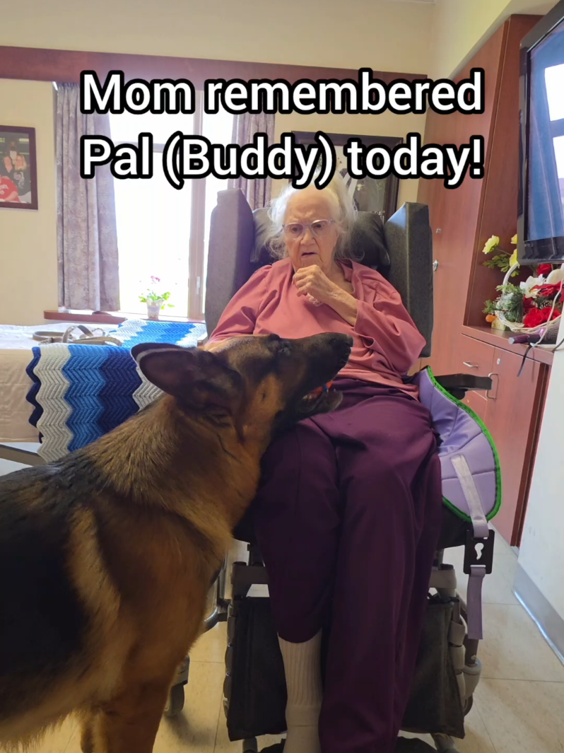 @BuddyandMikes Pal