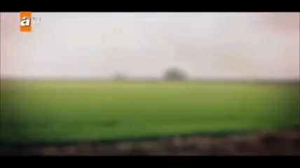 @🕊NORA🕊