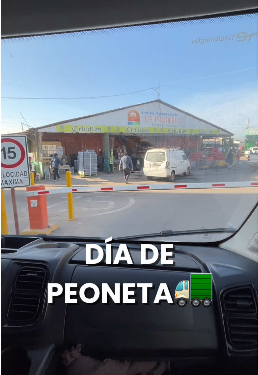 @Magda