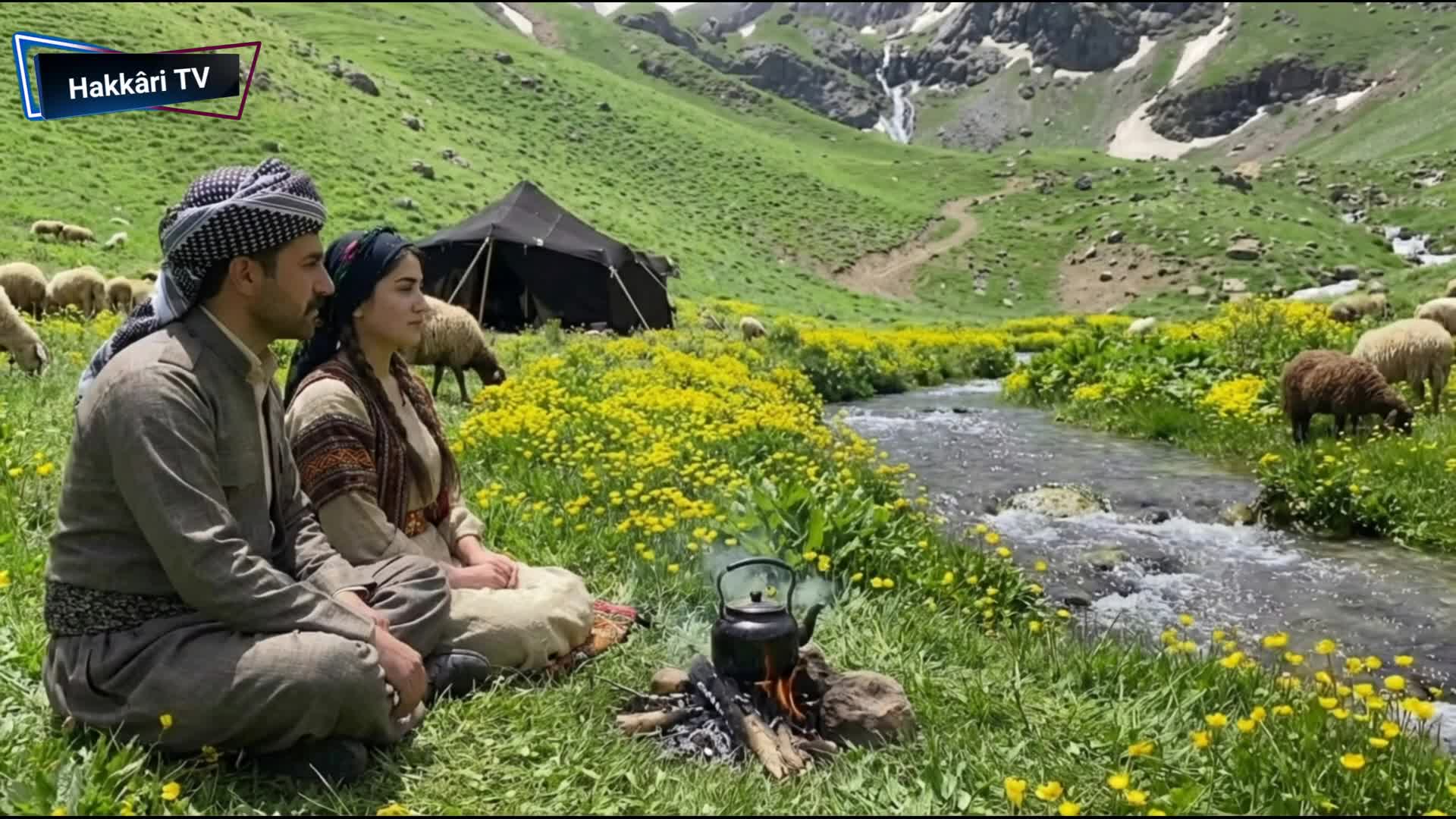 @Hakk&acirc;ri TV