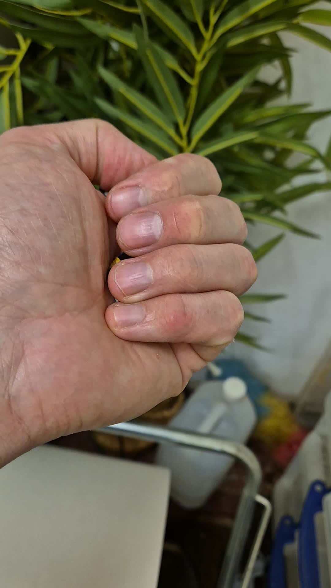 @CambridgeGecko